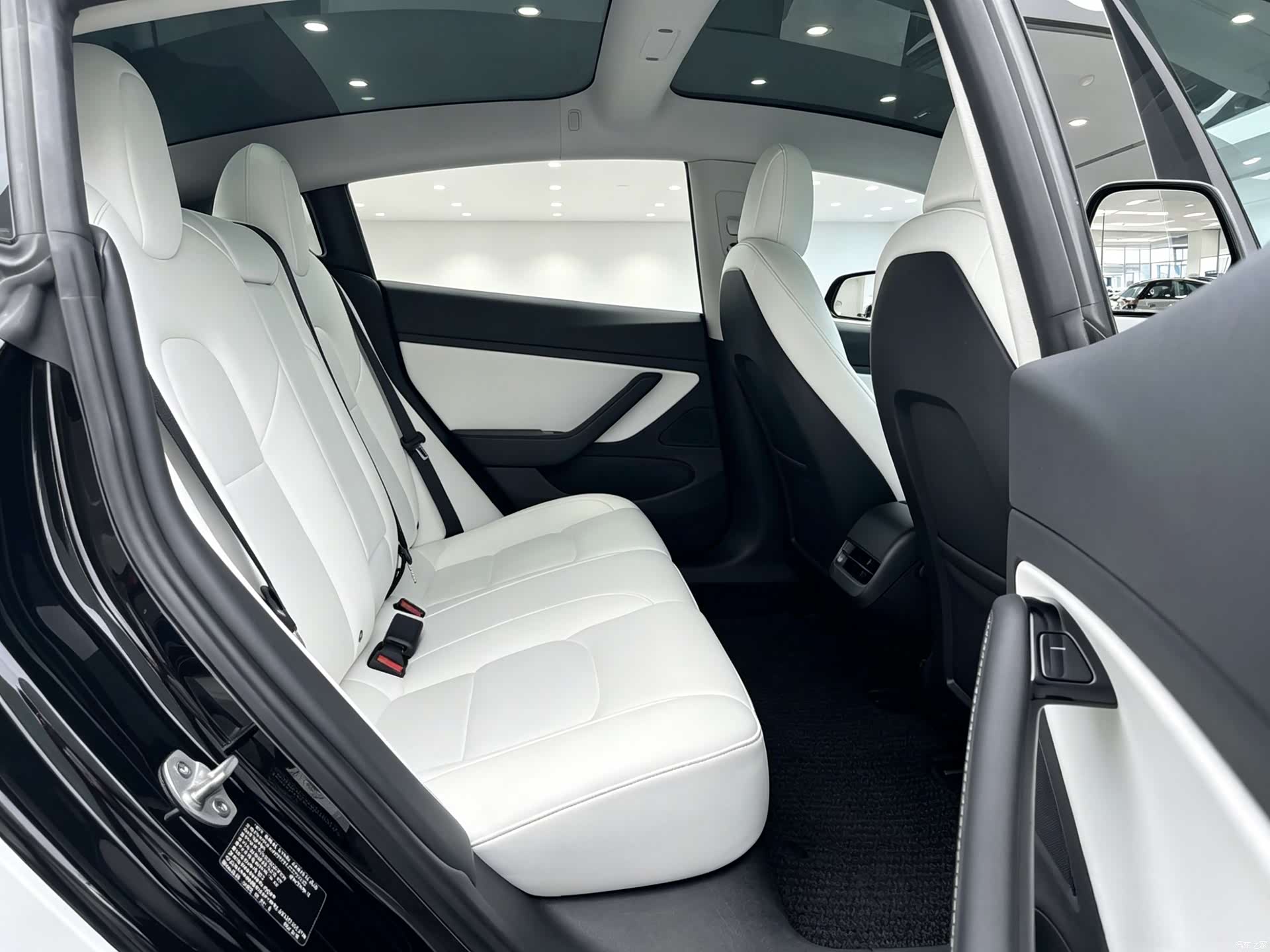 Tesla Model 3, 2021 8