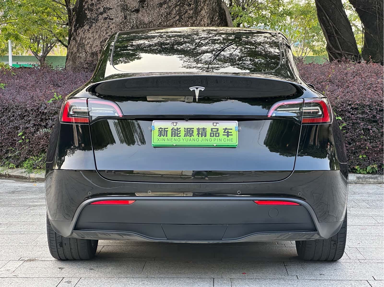 Tesla Model Y, 2024 7