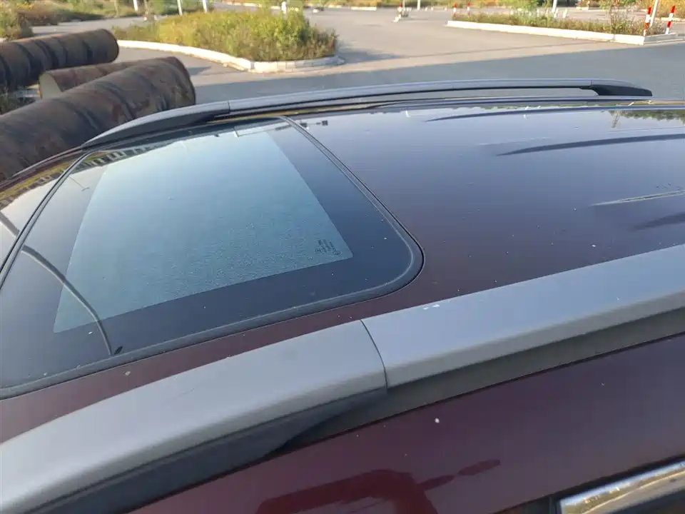 Leopaard Cheetah CS10