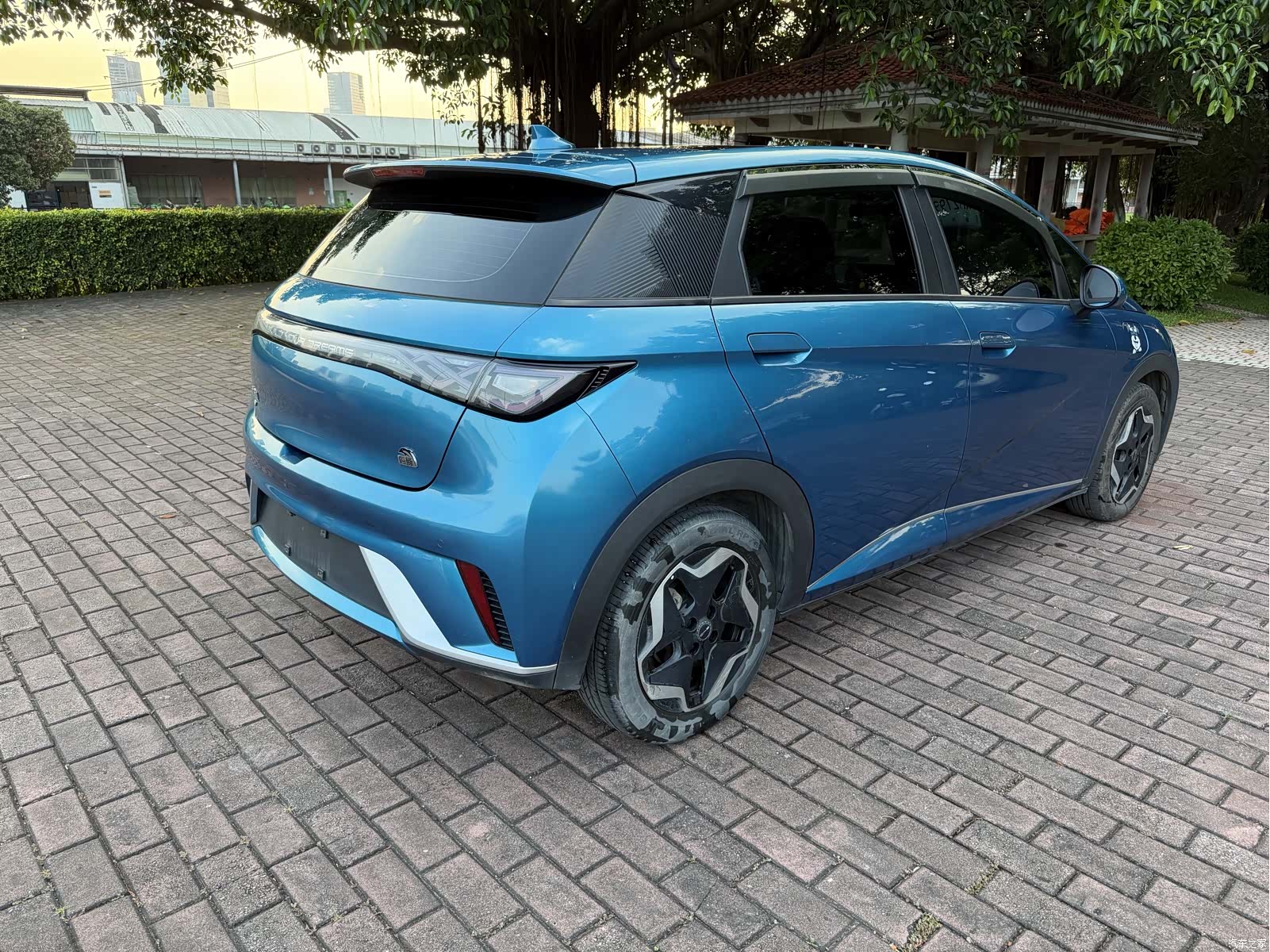 BYD Dolphin, 2022 все фото