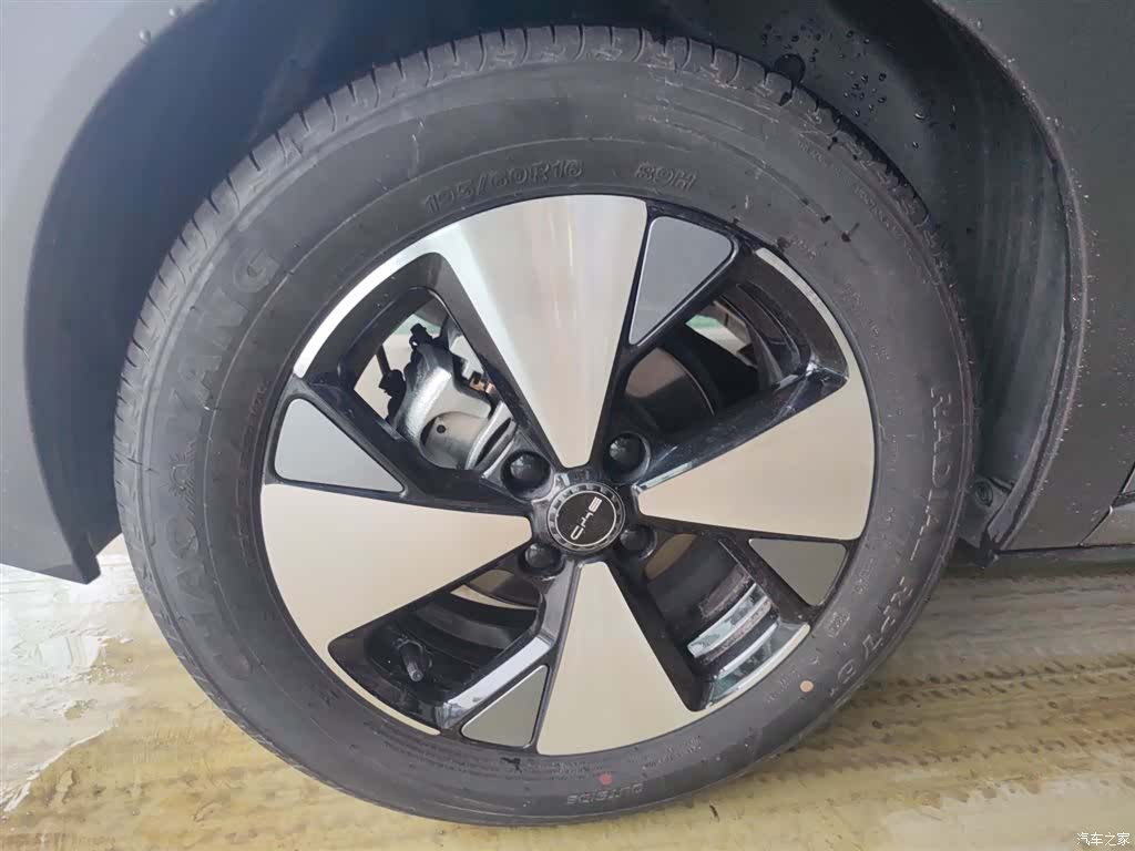 BYD Dolphin, 2024 26