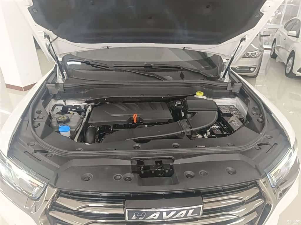 Haval H6, 2022 20