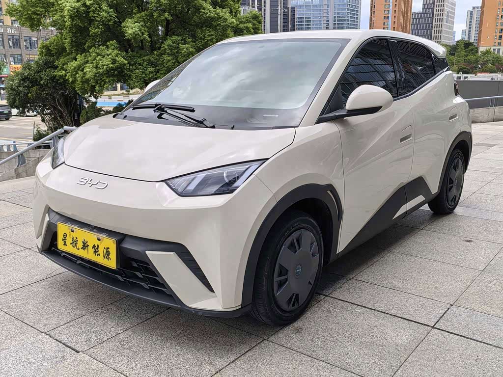BYD Seagull