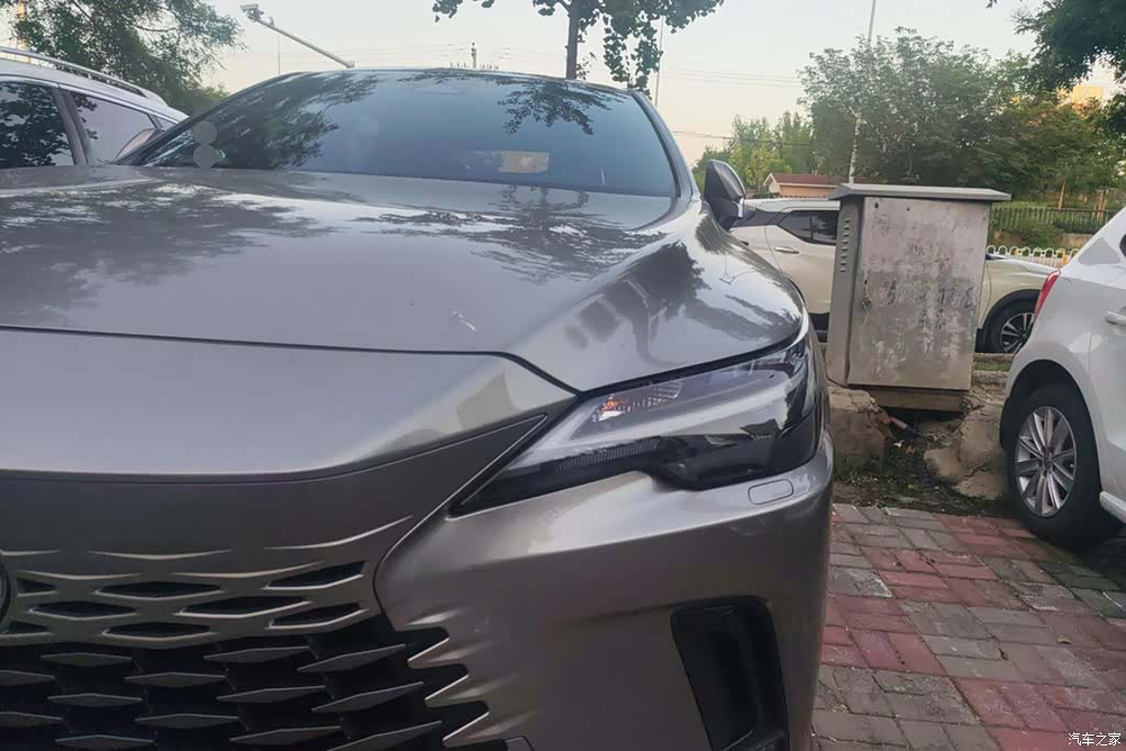 Lexus RX, 2024 все фото