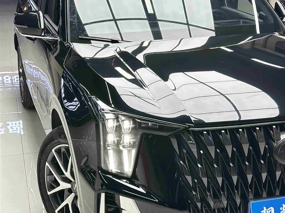 Trumpchi Trumpchi GS8