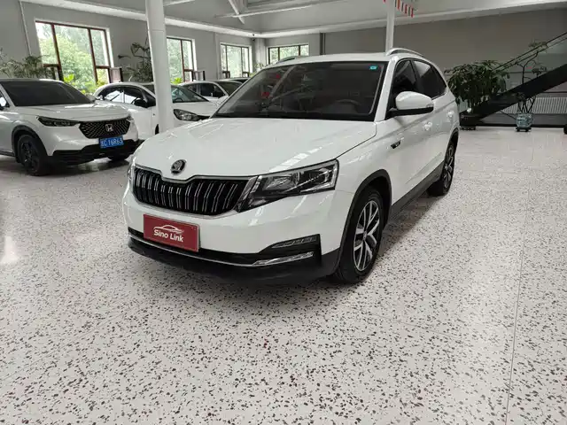 Škoda Kermick 2023 — купить из Китая под заказ