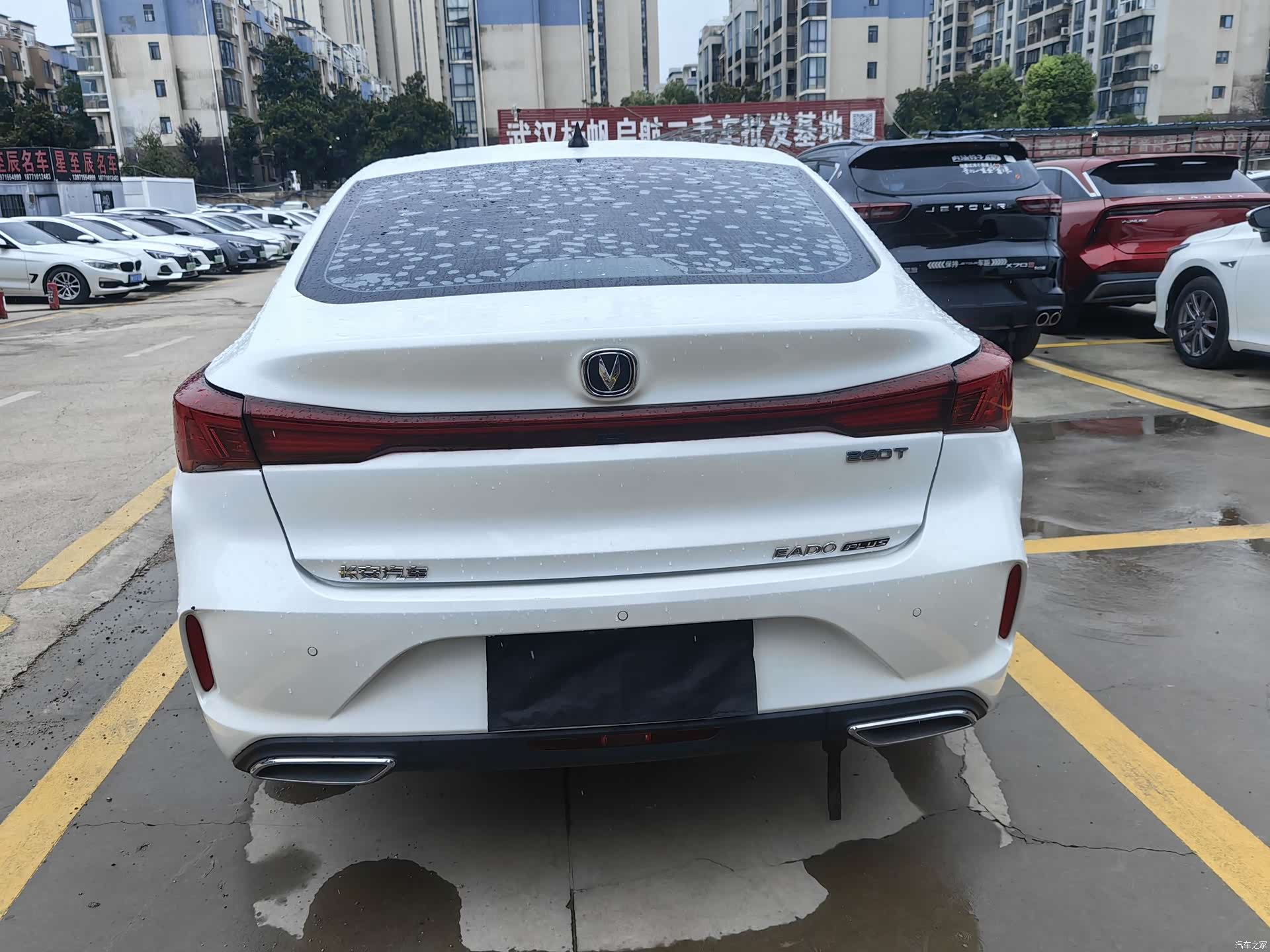 Changan Eado, 2022 все фото