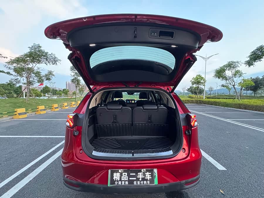 BYD Tang New Energy 2019, фото 33