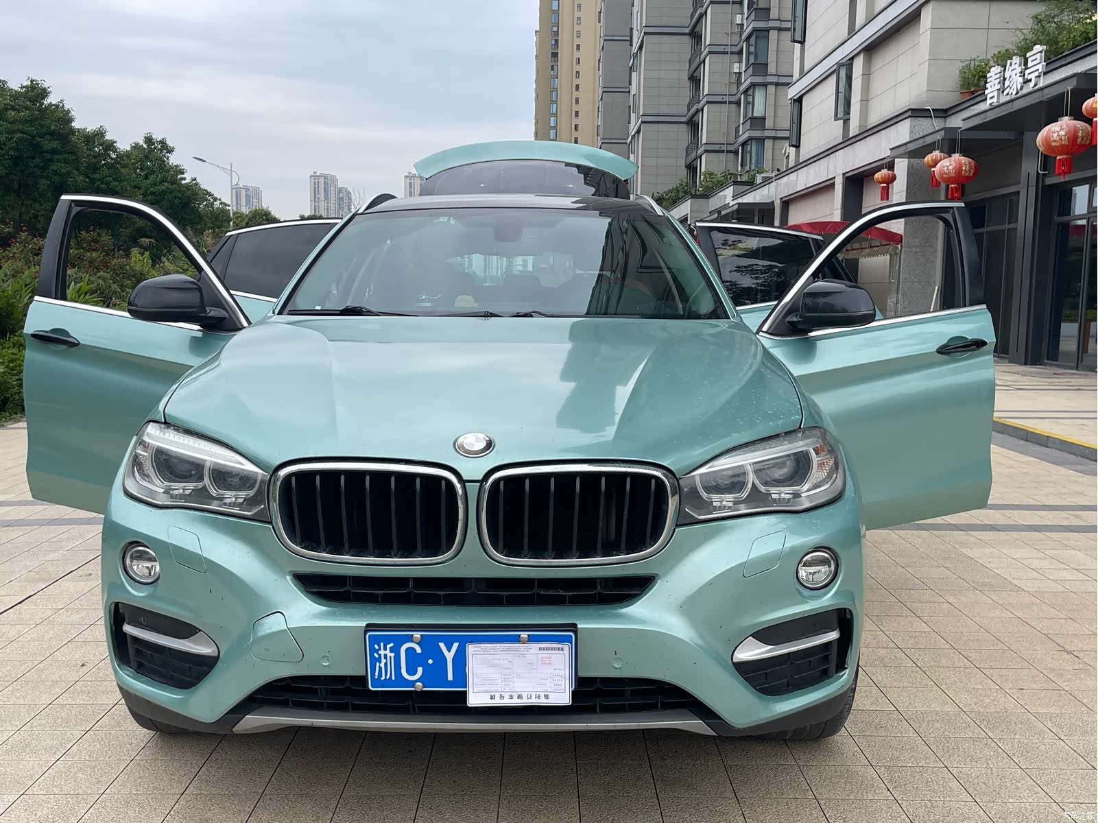 BMW X6, 2017 18
