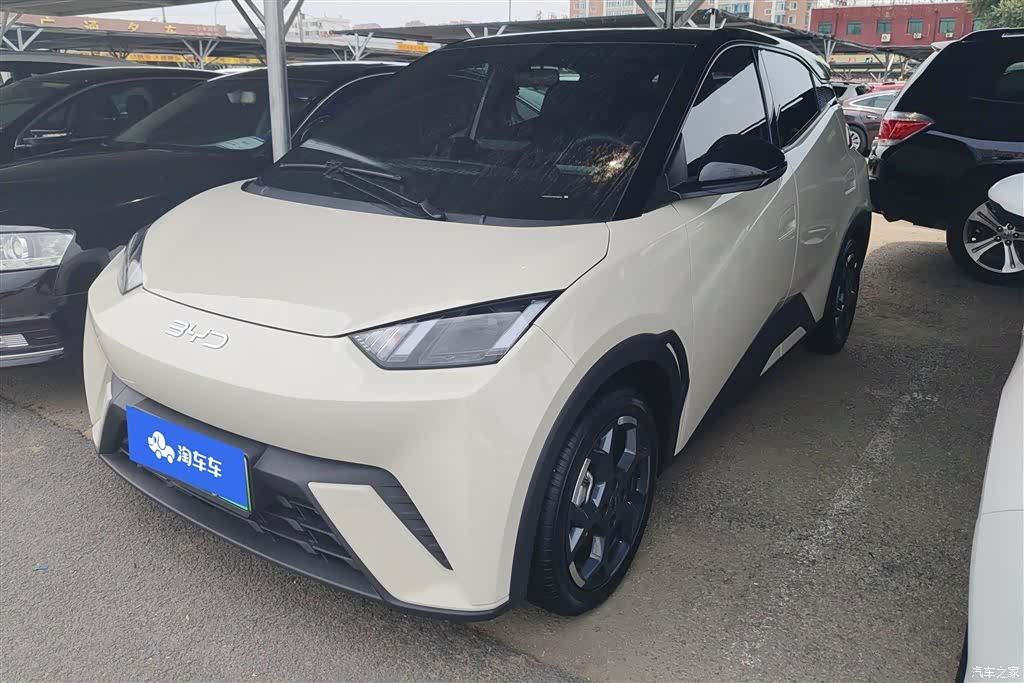BYD Seagull, 2024 1