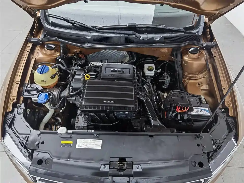 Volkswagen C-TREK Wei Collar