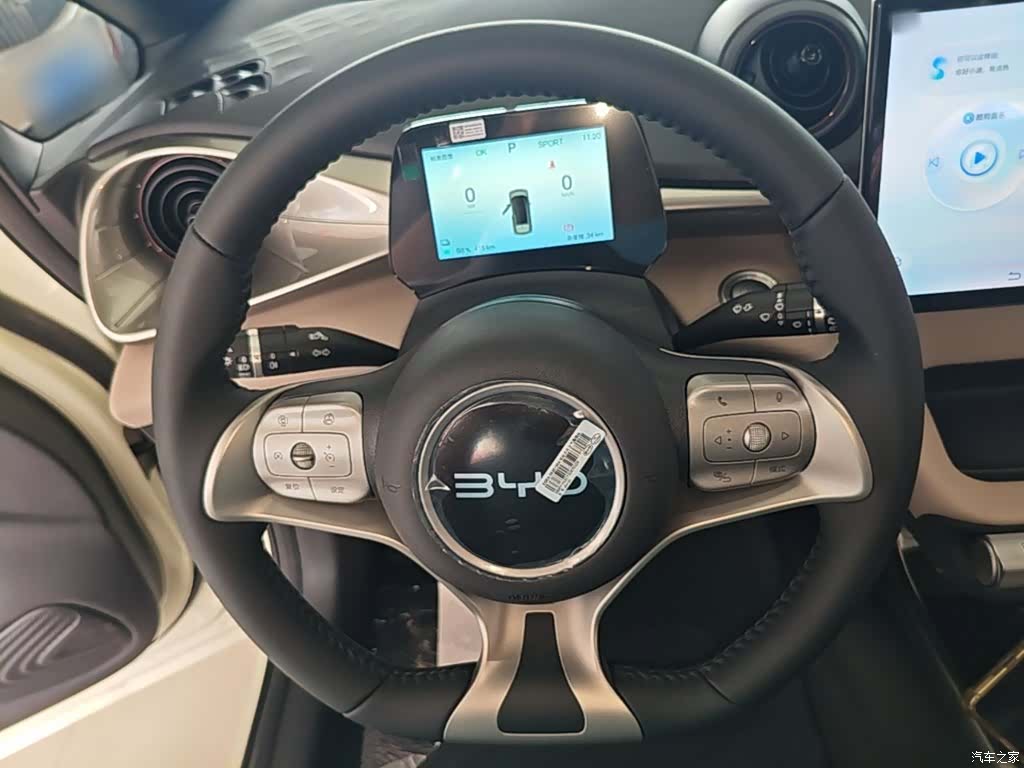 BYD Dolphin, 2026 11