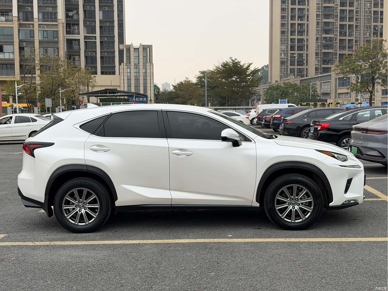 Lexus NX, 2019 все фото