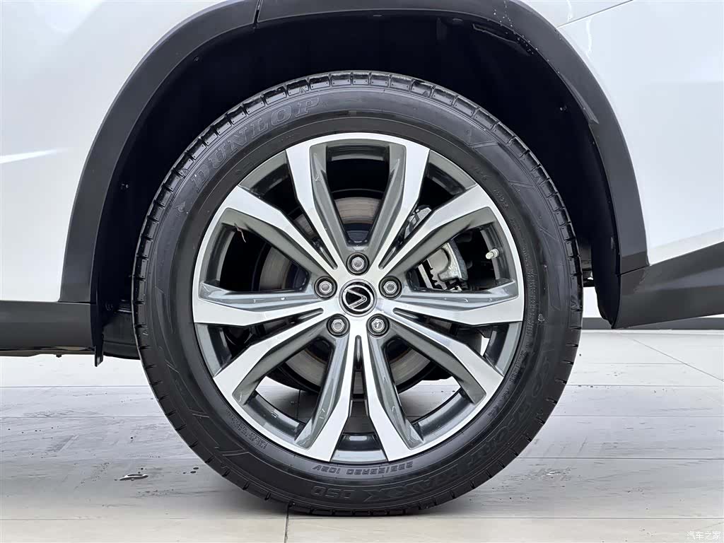 Lexus RX, 2022 18