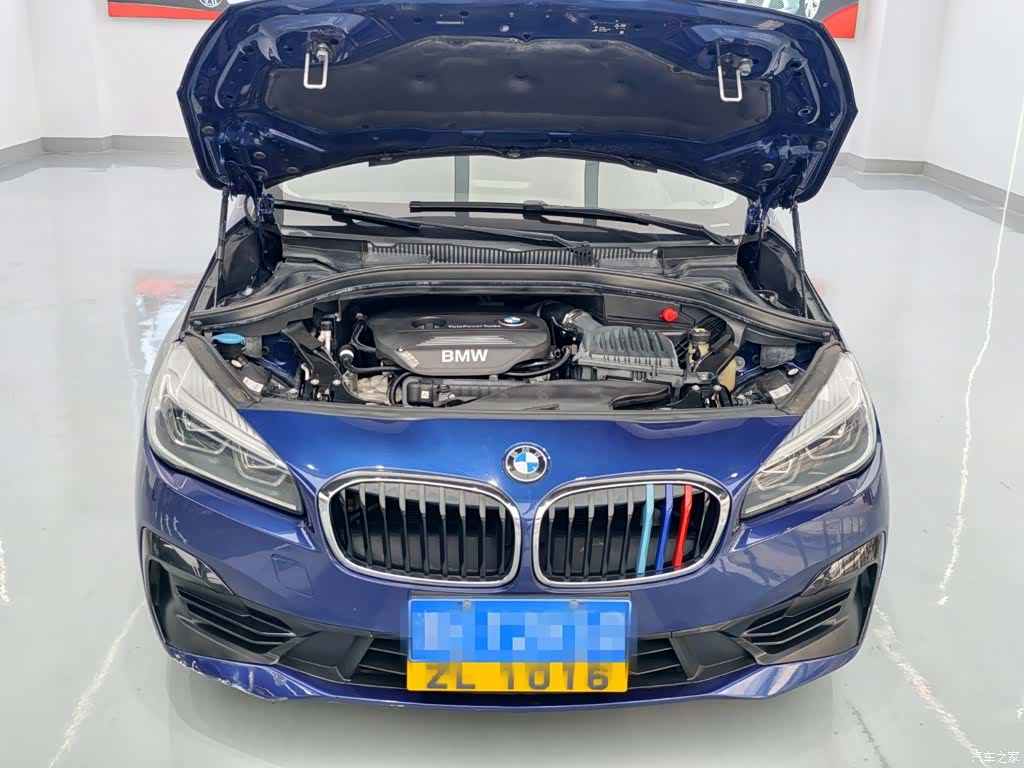 BMW 2 Series, 2018 17