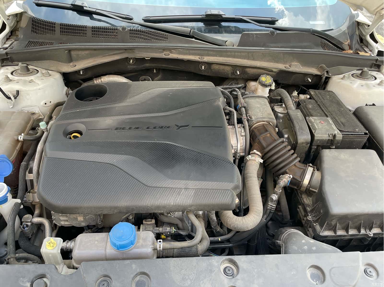 Changan NE, 2024 19