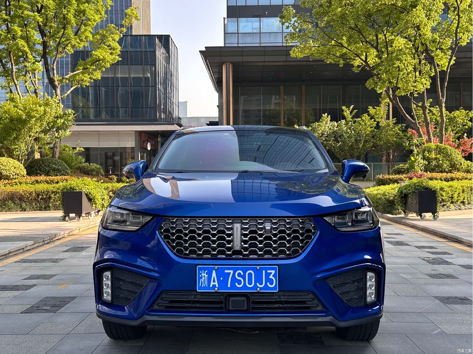 WEY VV5, 2019 2
