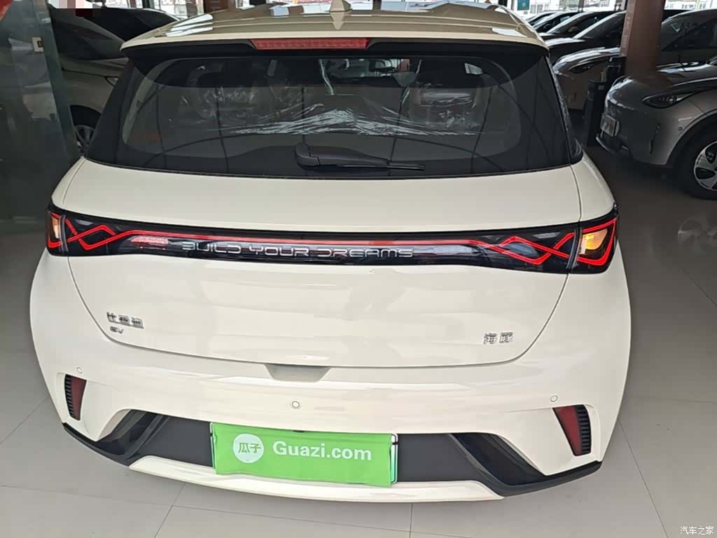 BYD Dolphin, 2026 6