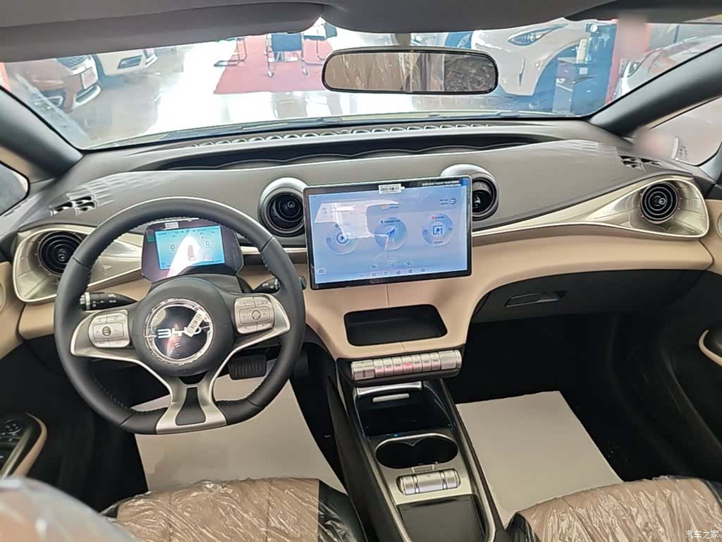BYD Dolphin, 2026 10