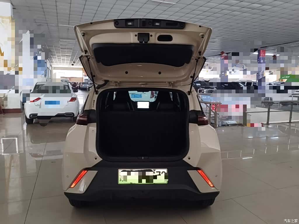 BYD Seagull, 2024 19