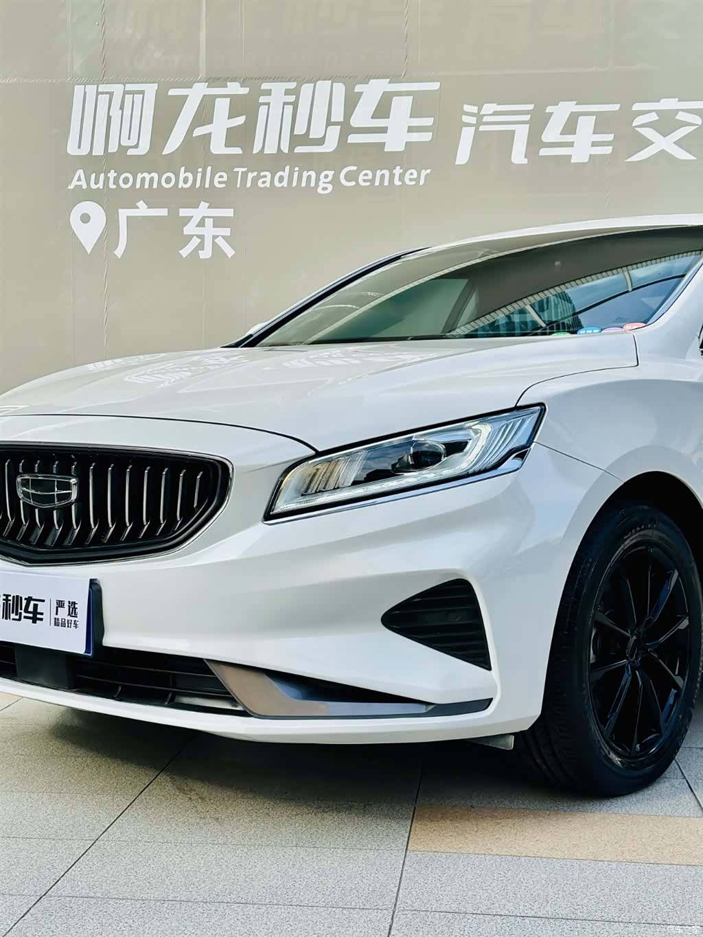 Geely +, 2020 19