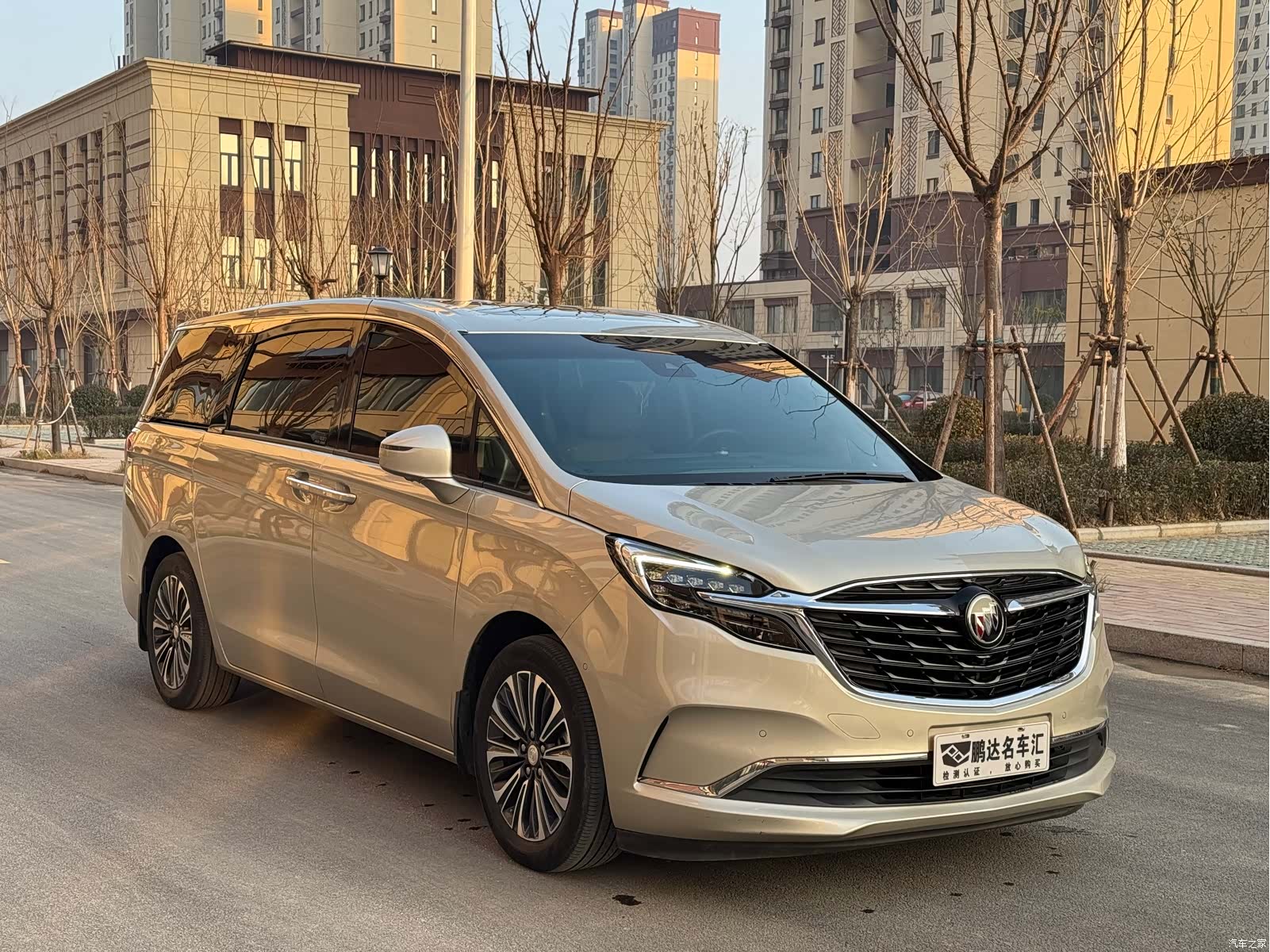 Buick GL8, 2020 3