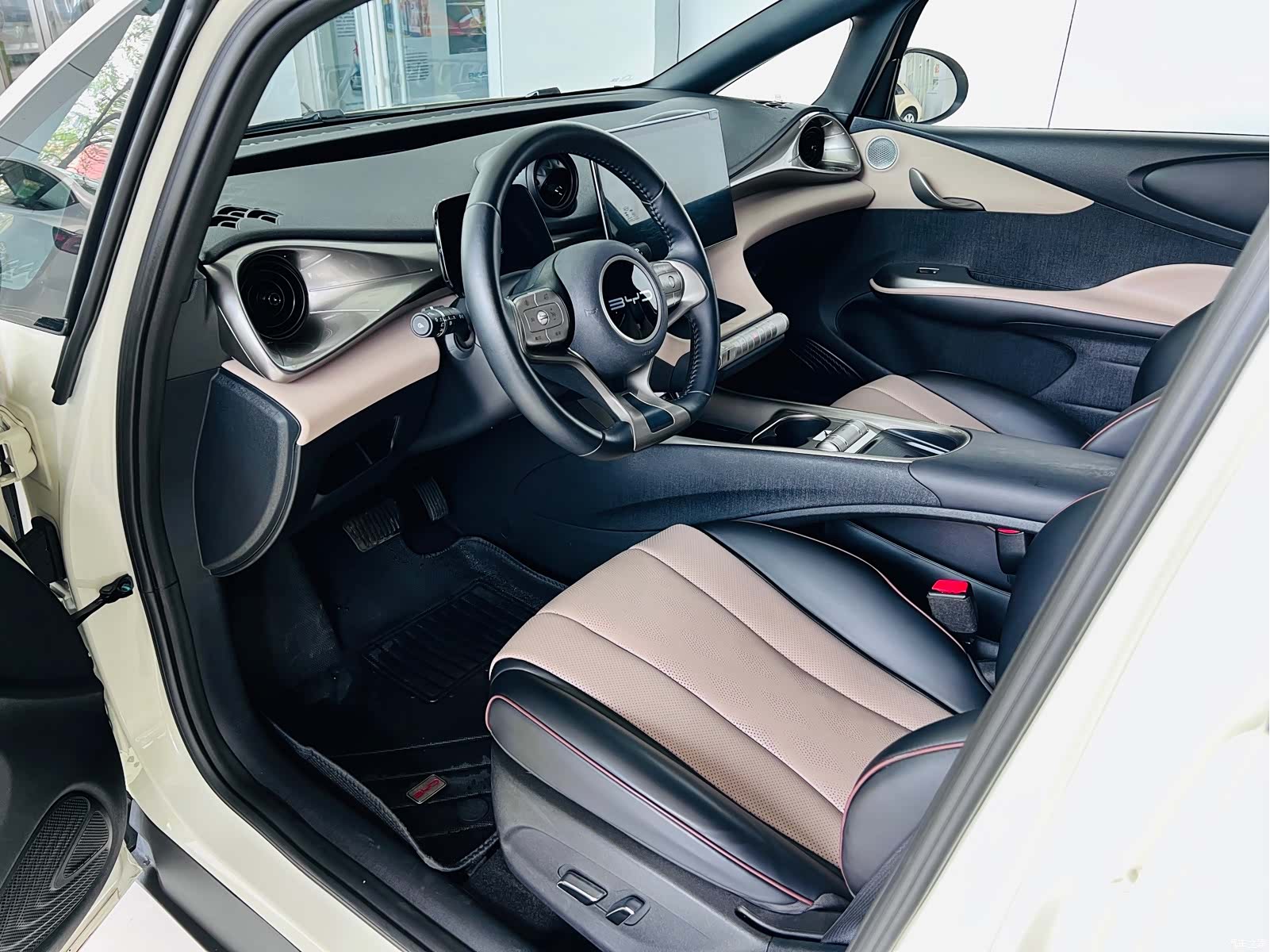 BYD Dolphin, 2024 13