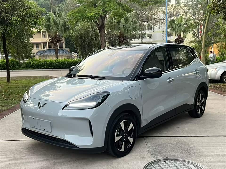 Wuling Wuling Bingguo PLUS