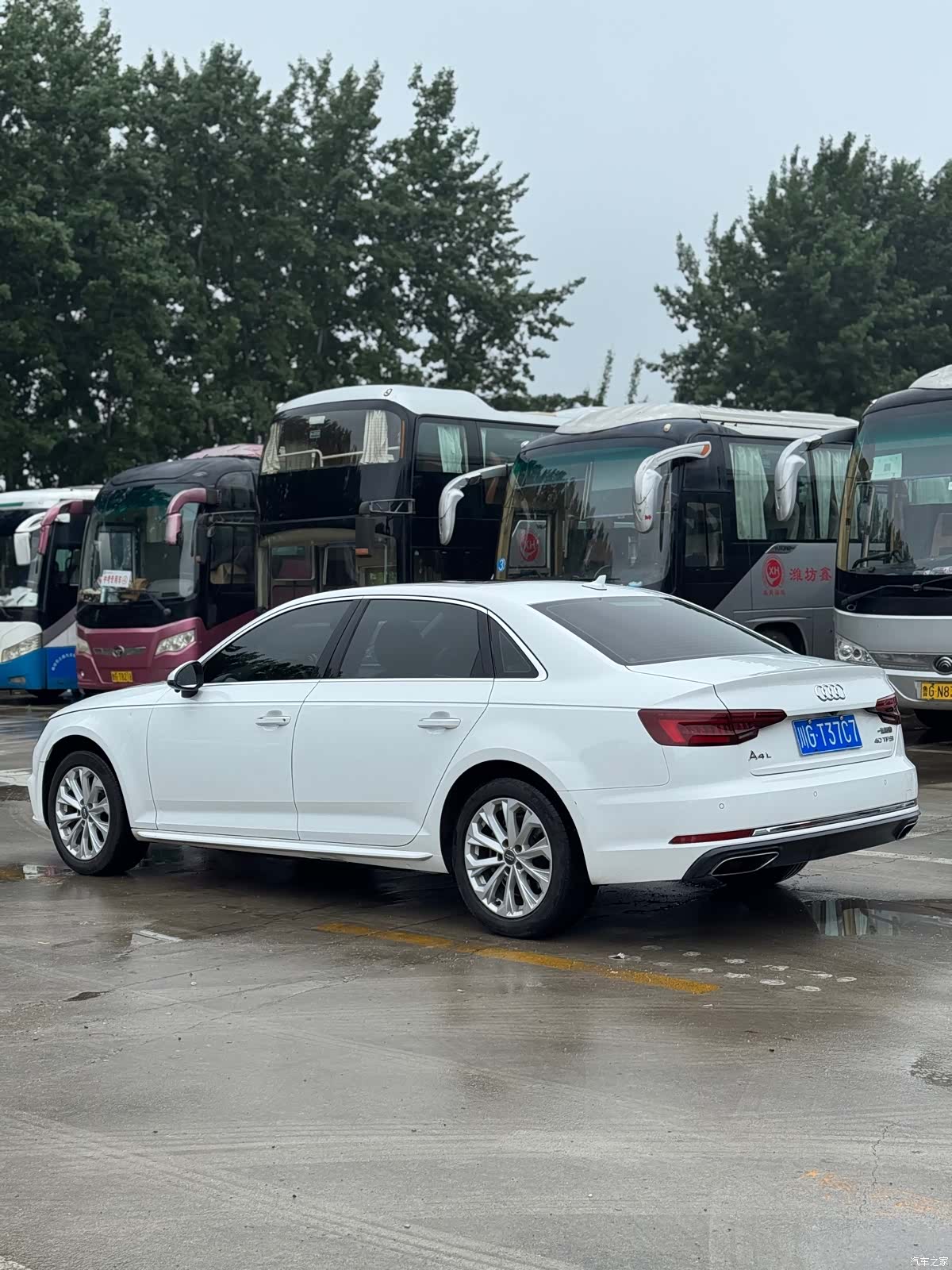 Audi A4L, 2019 2