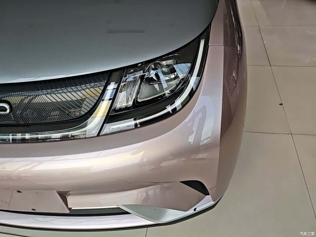 BYD Dolphin, 2022 24