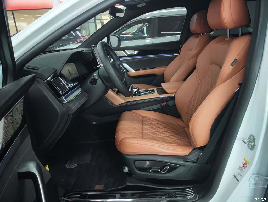 BYD Tang, 2023 15