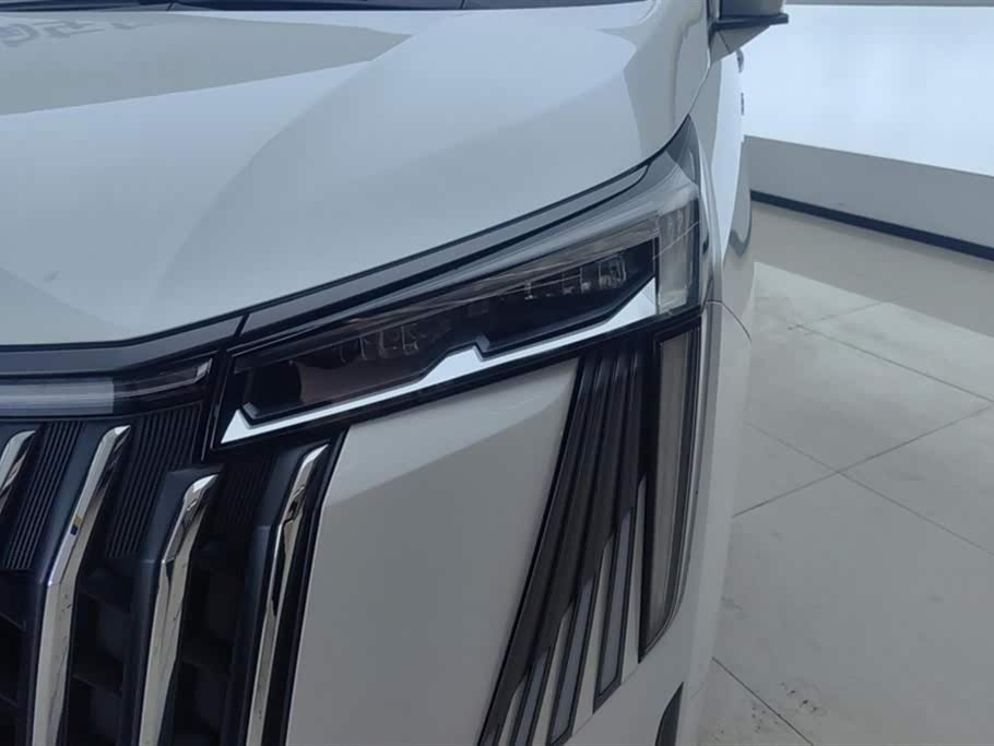 Trumpchi Trumpchi M8