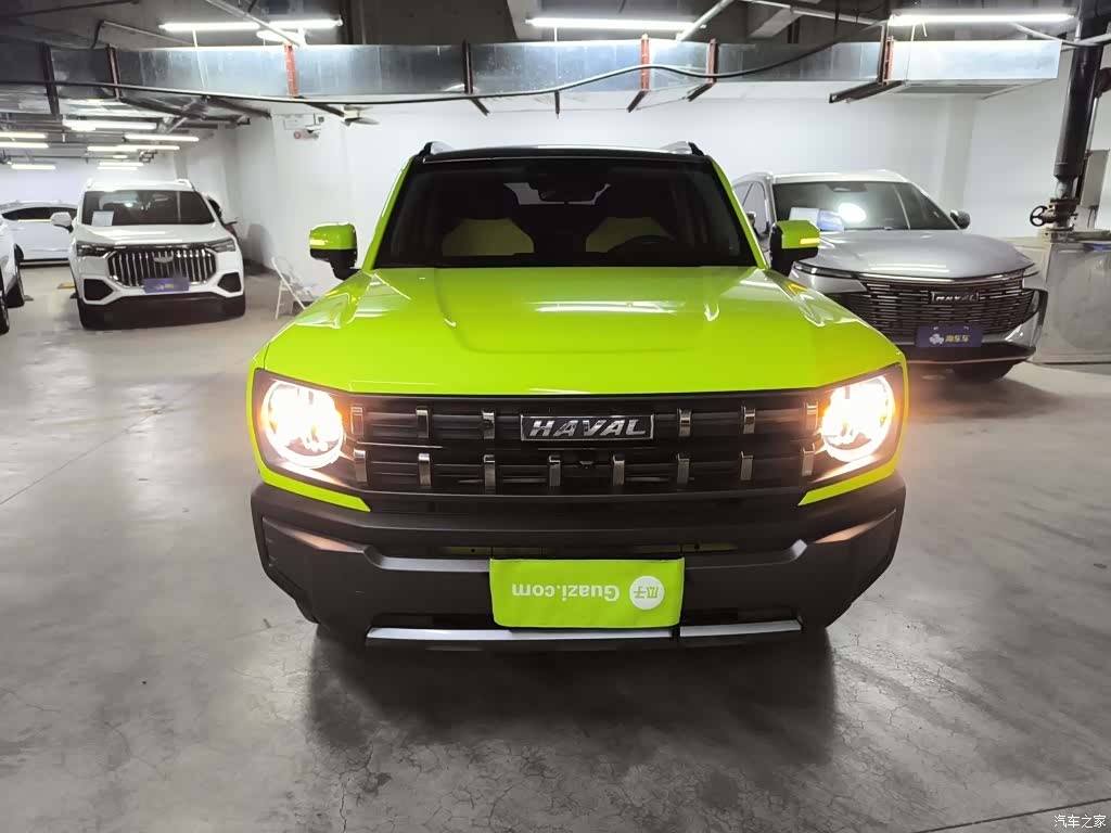 Haval Cool Dog, 2022 3