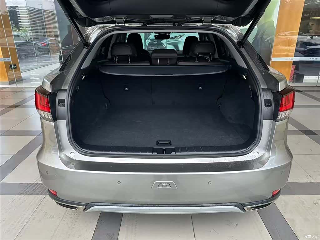 Lexus RX, 2020 11