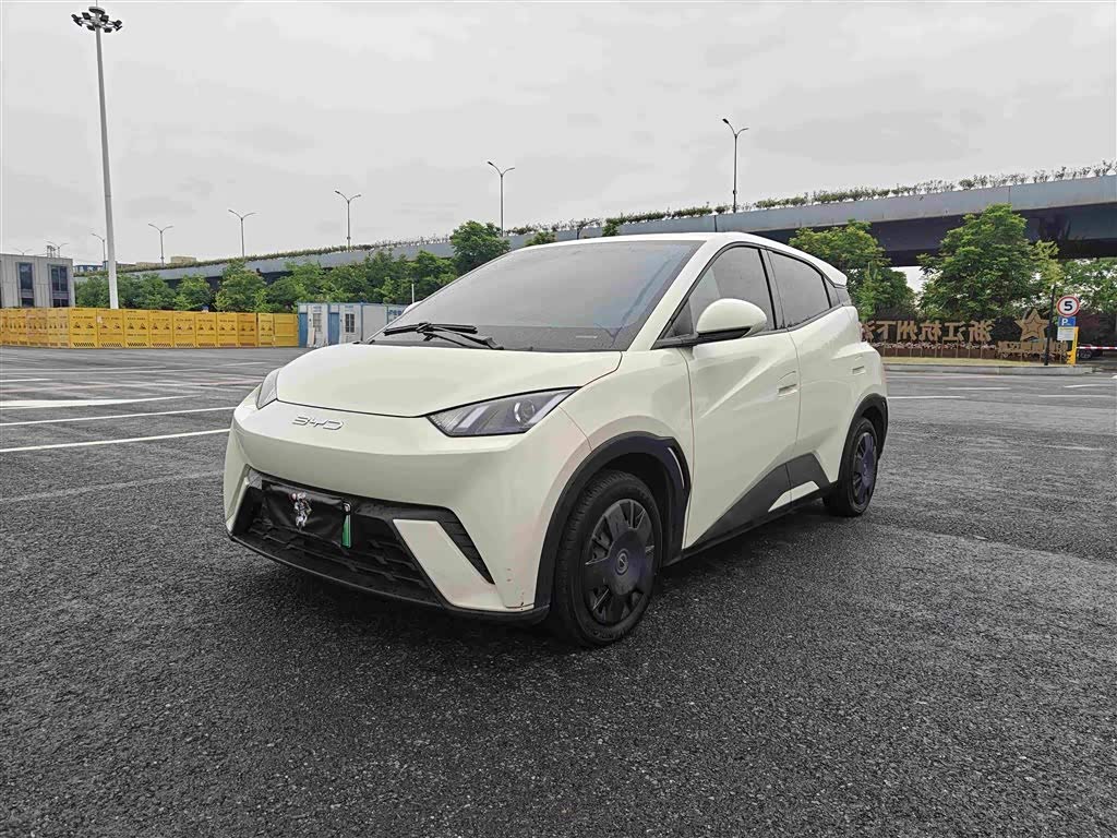 BYD Seagull