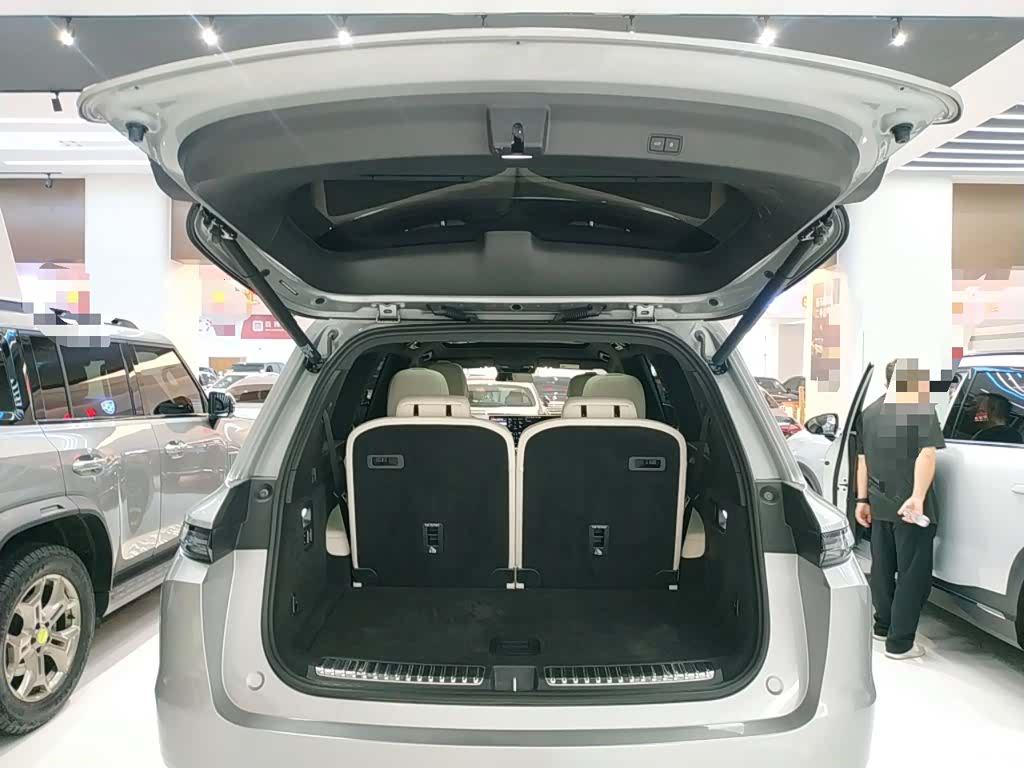Li Auto L9, 2023 14