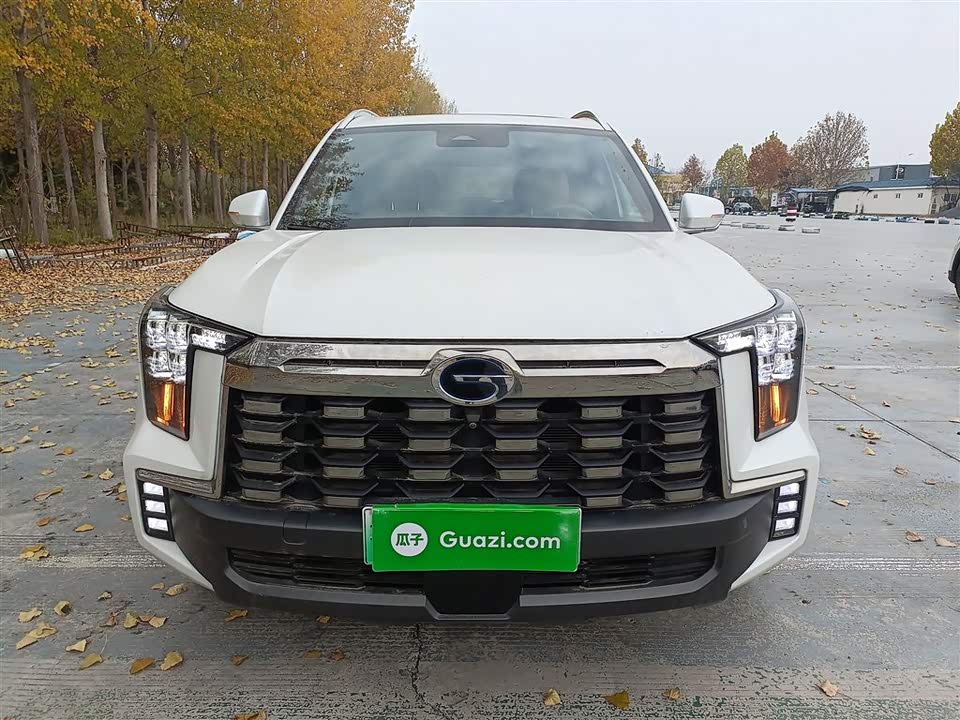 Trumpchi Trumpchi ES9