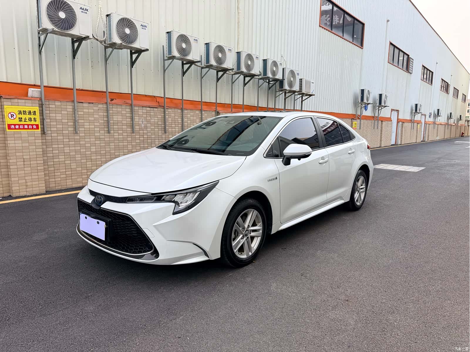 Toyota Levin