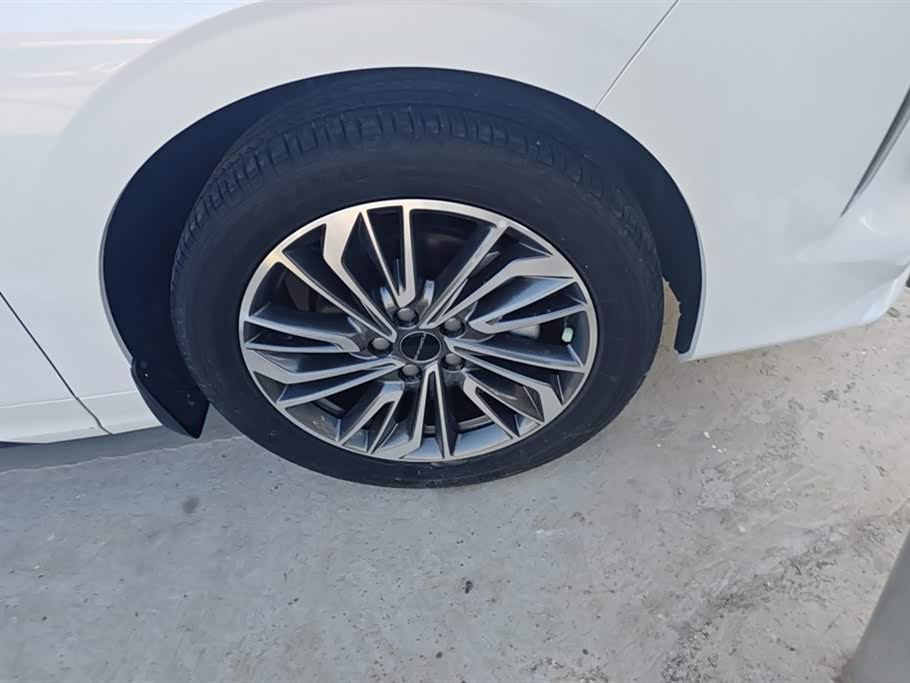 Forthing Popular yachts