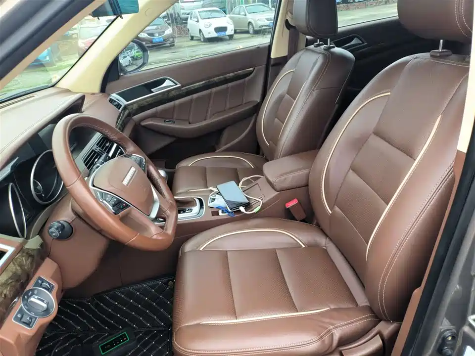 Leopaard Cheetah CS10