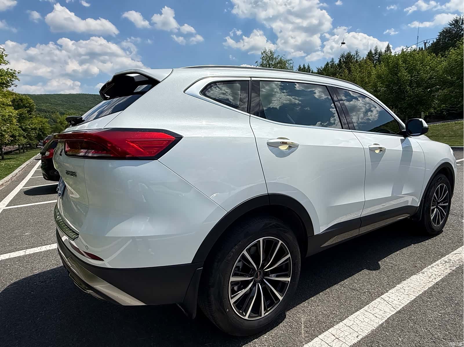 Haval H6, 2022 все фото