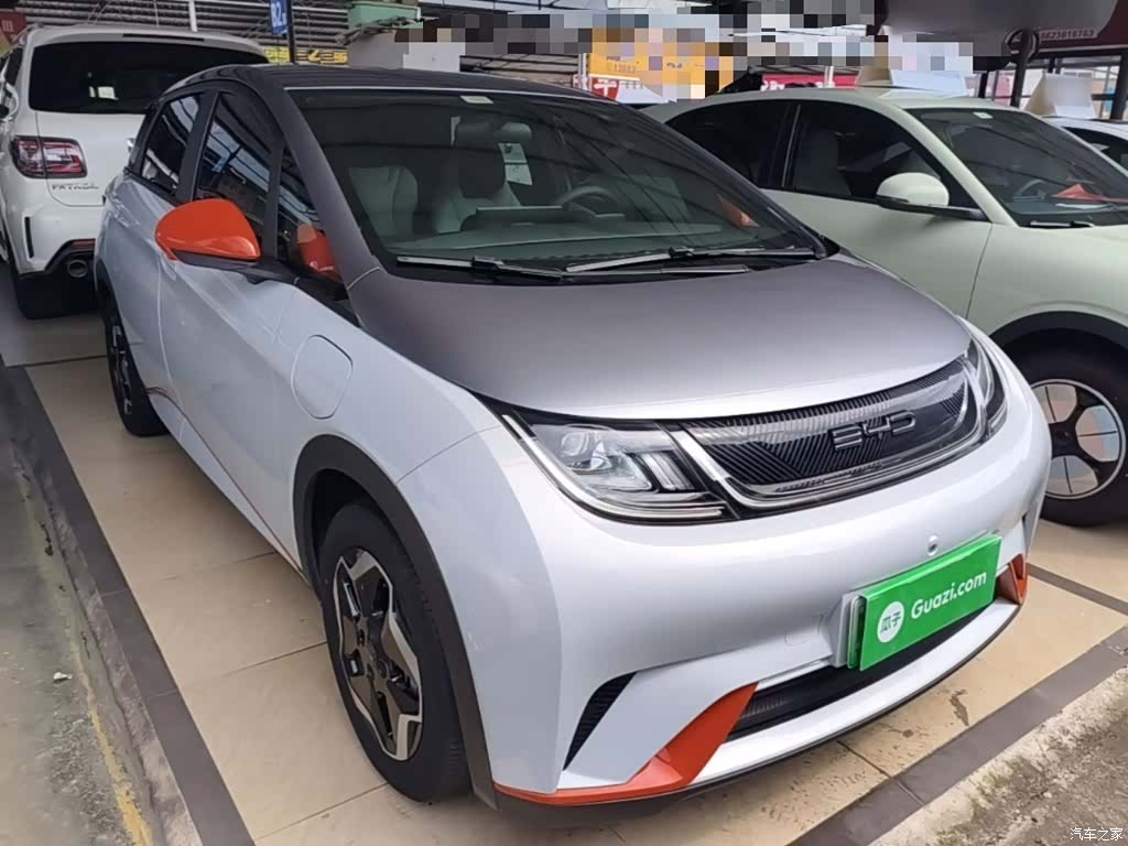 BYD Dolphin, 2021 4