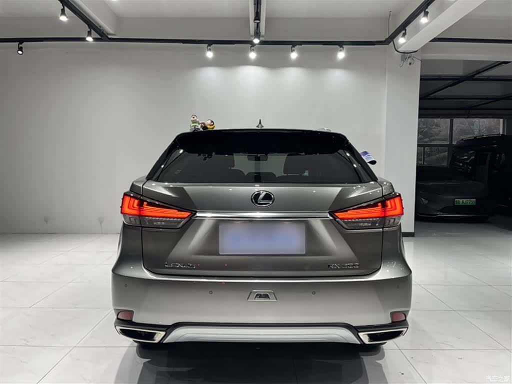 Lexus RX, 2022 24