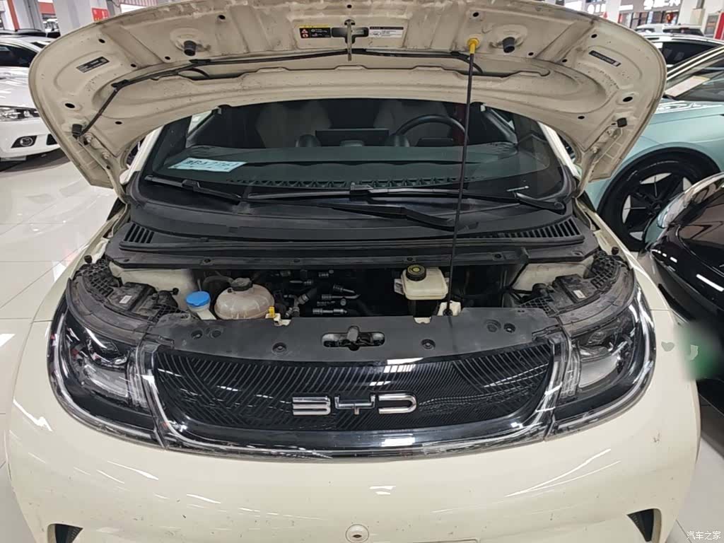 BYD Dolphin, 2023 20