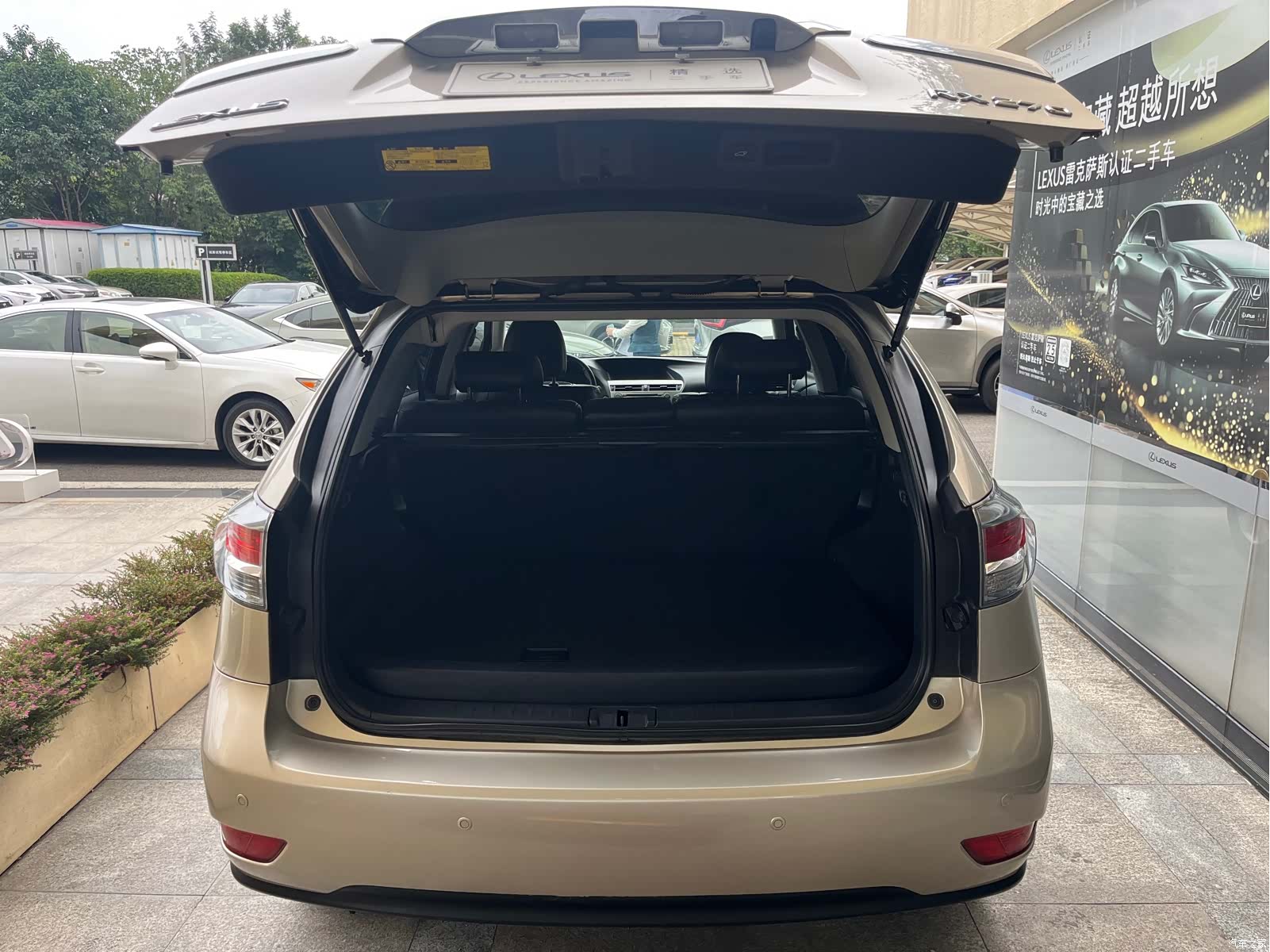 Lexus RX, 2013 8