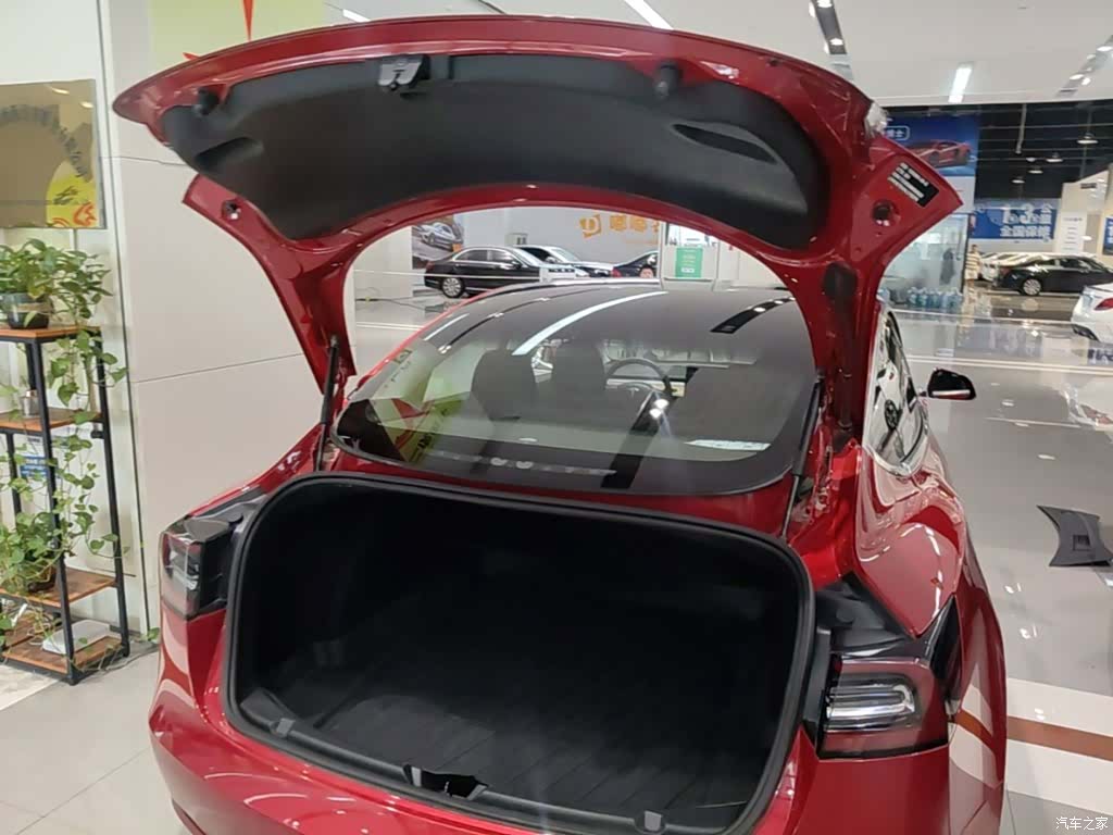 Tesla Model 3, 2020 19