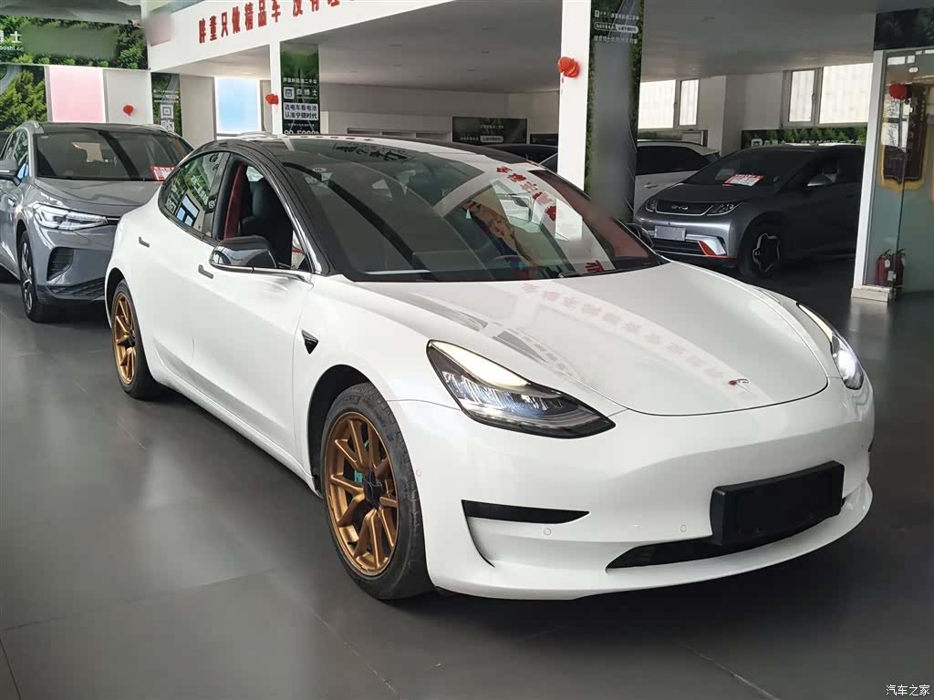 Tesla Model 3, 2021 4