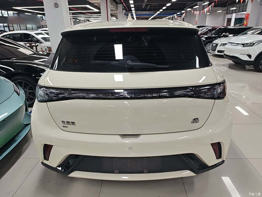 BYD Dolphin, 2023 6