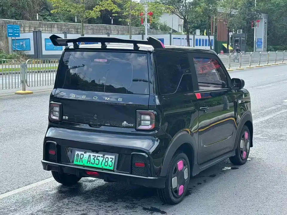Geely Galaxy panda