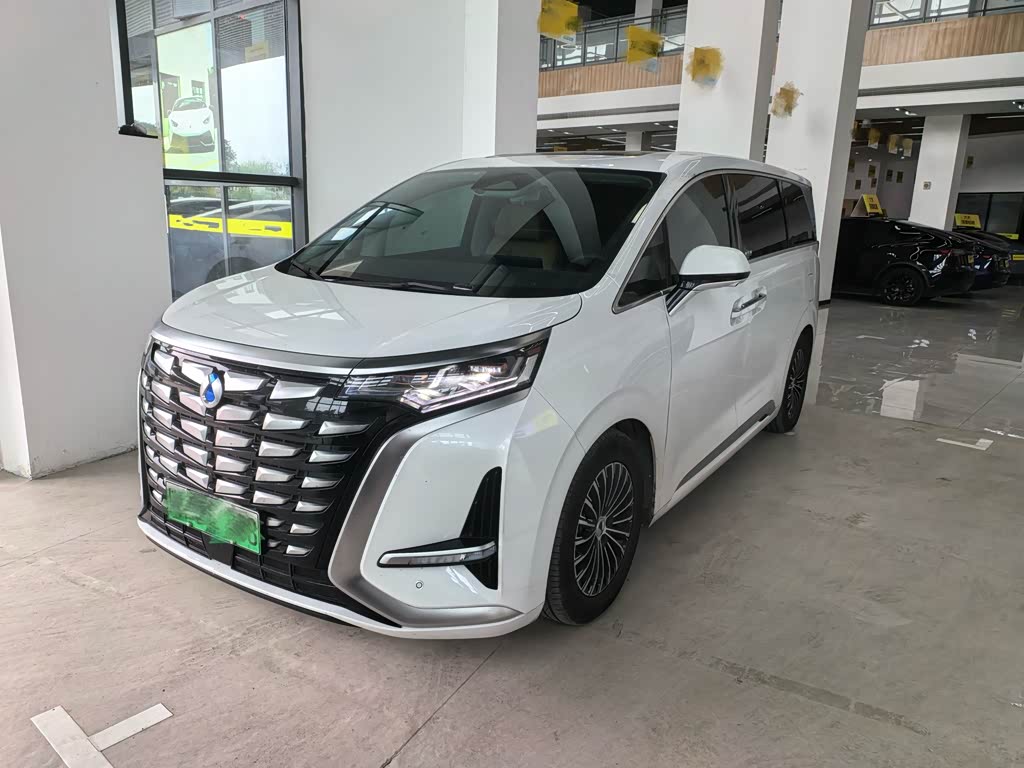Denza D9